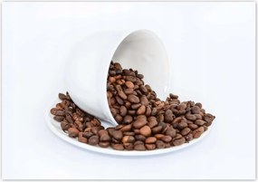 Poszterek 100x70 Szemes kávé a szakértőnek