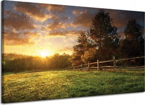 Vászonkép Nap Tájkép Vidéki fák Rét 120x70 cm