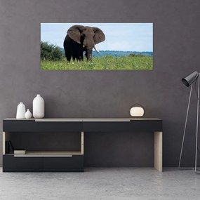 Egy elefánt képe (120x50 cm)