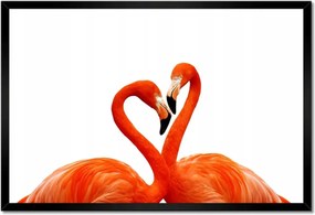 Poszterek keretben 60x40 Szerelmes flamingók