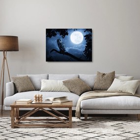 Üveg kép - Éjszakai bagoly (70x50 cm)