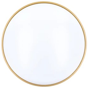 Solight WO8013 - LED Dimmelhető mennyezeti lámpa CALA LED/48W/230V 3000-6500K + távirányító