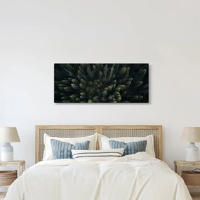 Kép - Forest (120x50 cm)