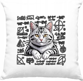 Cica párna cica matematika formula 2 fehér