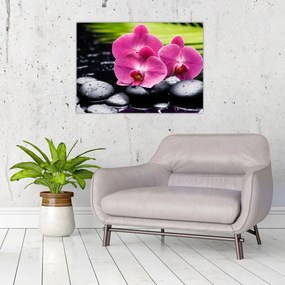 Kép - Rózsaszín orchidea pálmalevéllel (70x50 cm)