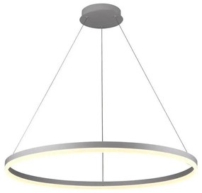 Brilagi -LED Dimmelhető csillár zsinóron CIRCLE LED/55W/230V 3000-6500K ezüst + távirányító