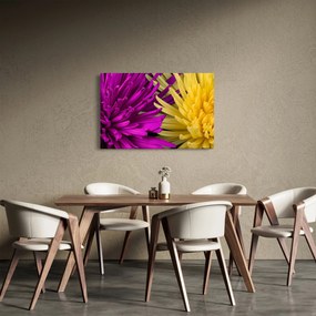 Kép - virág részlet (90x60 cm)