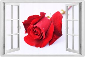 Poszterek 90x60 Vörös rózsa a hóban