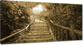 Vászonkép 115x55 Lépcsők szépia színben