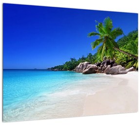 Kép a strandról a Praslin szigeten (üvegen) (70x50 cm)