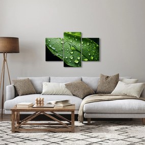 Kép - Levél eső után (90x60 cm)