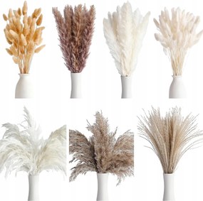 Díszfű Pampas Dekoratív Szárított Pampas Váza Fúvós Csokor