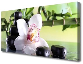Canvas kép Bamboo Orchid Stones 125x50 cm