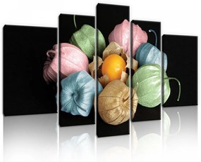 Vászonkép, 5 darabos, Lampionvirág színesben 170x100 cm méretben
