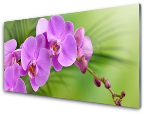 Fali üvegkép Orchidea Orchidea Virág 120x60cm 2 fogas