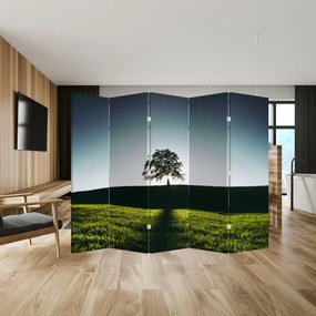 Paraván - Fa (210x170 cm)