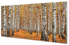 Üvegképek őszi fák 125x50 cm