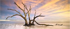 Egy fa képe az óceánban (120x50 cm)