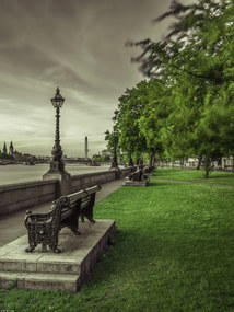 Poszter 30x40cm Pad a Temze partján parkban, Assaf Frank