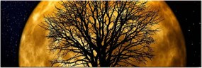 Vászonkép, 30×90 cm – 3090DACT-71