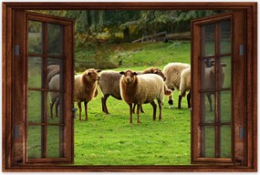 Poszterek 60x40 Juh legeltetés Bárányok