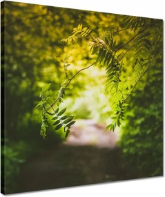 Vászonkép 40x40 Zöld levelek Levelek