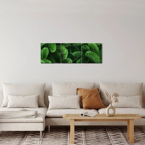 Kép - Tűlevelű gallyak (órával) (90x30 cm)