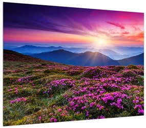 Virágzó hegyi tájkép (70x50 cm)