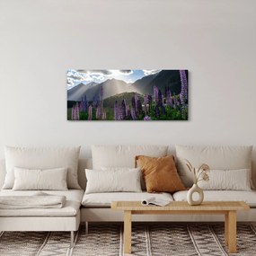 Kép - Csillagfürt táj (120x50 cm)