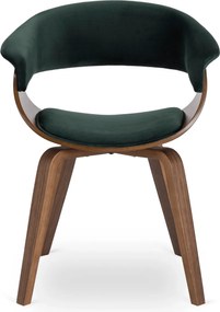 GARY szék, velúr, zöld/dió