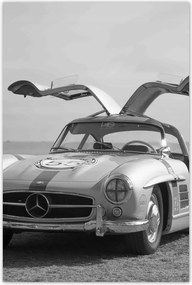 Poszterek 60x90 Mercedes Gullwing