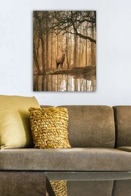 Vászonkép, 50×70 cm – TR529TCR1697