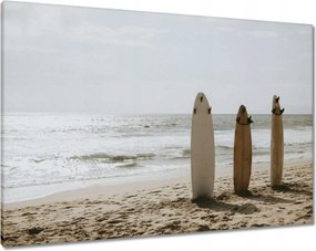 Vászonkép 100x70 Szörfdeszkák bézs