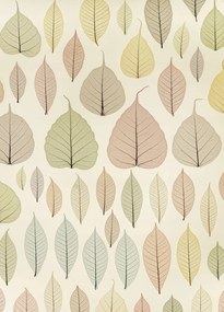 Poszter 39,5x55cm Csontváz levelek, Assaf Frank