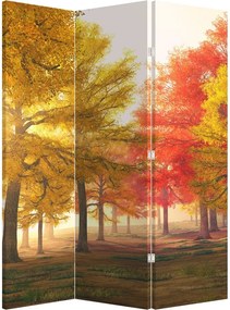 Paraván - Őszi fák (126x170 cm)