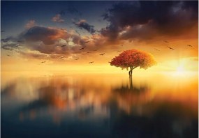 Fotótapéta Fa Nap Fotótapéta +ragasztó 416 x 254 13003VEXXXL