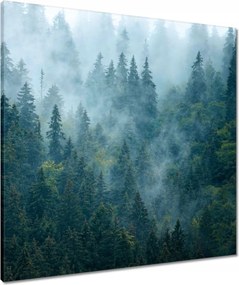 Vászonkép 70x70 Erdő a ködben Utazás
