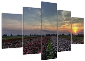 Modern képek - virágok  (150x105cm)