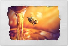Poszterek 60x40 Csöpögő méz befőttes üvegből