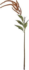 FLORISTA köles virág 110 cm ,barna