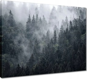 Vászonkép 50x40 Ködös hegyi táj