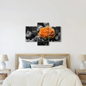Virág képe (90x60 cm)
