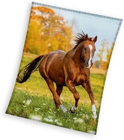 Lovas Gallop coral fleece polár takaró 150x200cm