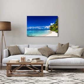 Egy trópusi tengerpart képe (90x60 cm)