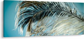 Tollas kép (120x50 cm)