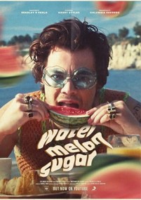 Poszter 21x30 cm Harry Styles A4