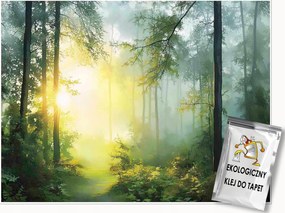 Fotótapéta Erdő 3D Fák Nap Természet Falra Hálószoba Nappali 250x175