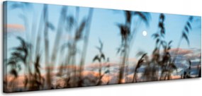 Vászonkép Természet Mező Rét Napfelkelte 120x40