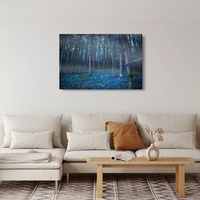 Kép - varázslatos erdő (90x60 cm)