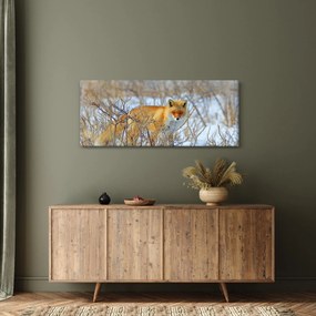 Kép - Róka (120x50 cm)